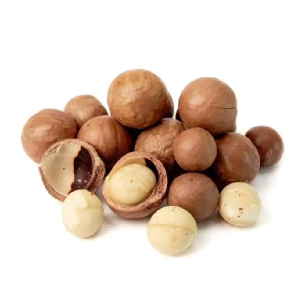 Hạt Macca Việt Nam Có Vỏ, Roasted Macadamia Nuts in Shell (150g) - NAM XANH