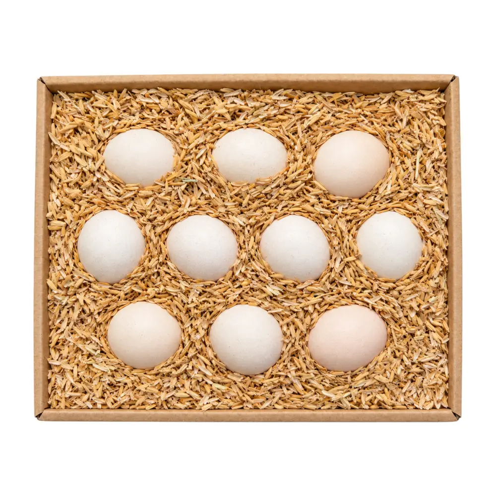 Trứng Gà Ta Nhiều Lòng Đỏ, Chicken Eggs, 10 Trứng (360g) - NONBRAND