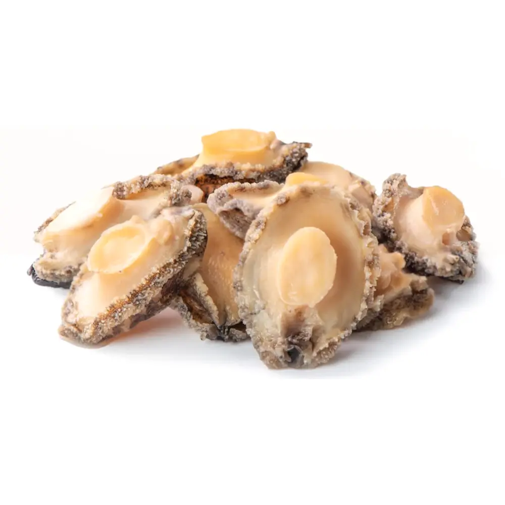 Bào Ngư, Frozen Whole Abalone, Size 12 (1kg) - HAINAMFOODS