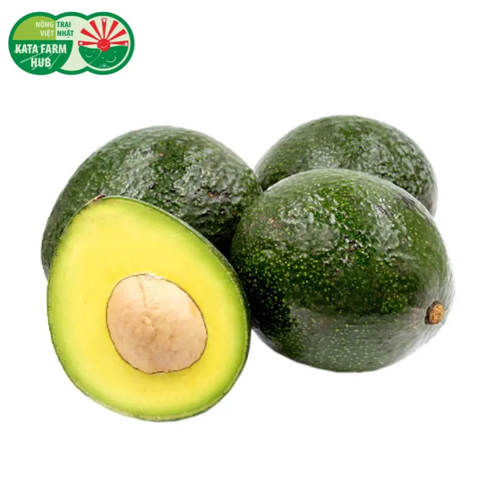 Bơ Booth - Booth Avocado - KATA FARM HUB