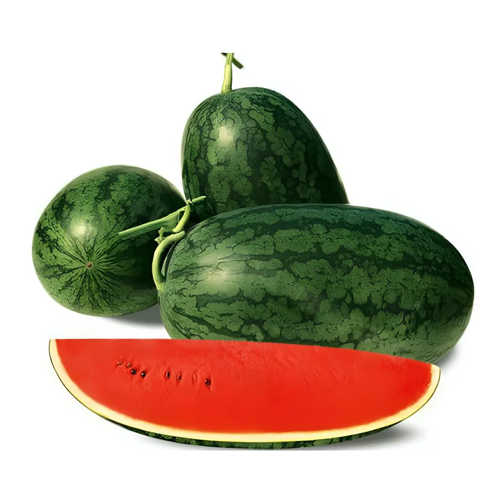Dưa Hấu Hắc Mỹ Nhân Canh Tác Hữu Cơ - Black Beauty Watermelon - KATA FARM HUB