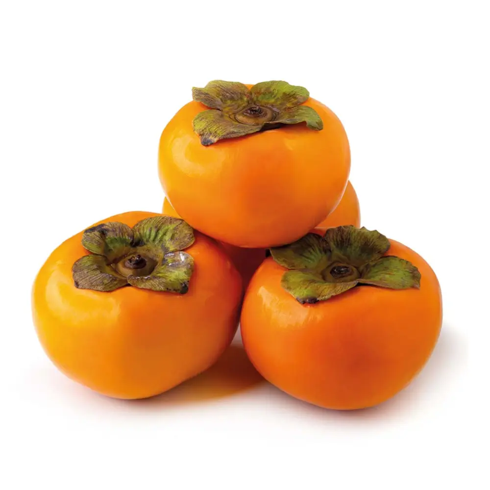 Hồng Giòn New Zealand - Premium New Zealand Persimmons - Size 15 - HOLYOAK
