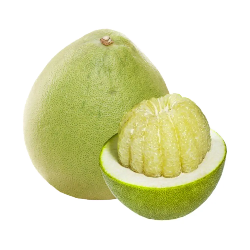 Bưởi 5 Roi Bao Lưới - 5 Roi Pomelo - OCOP