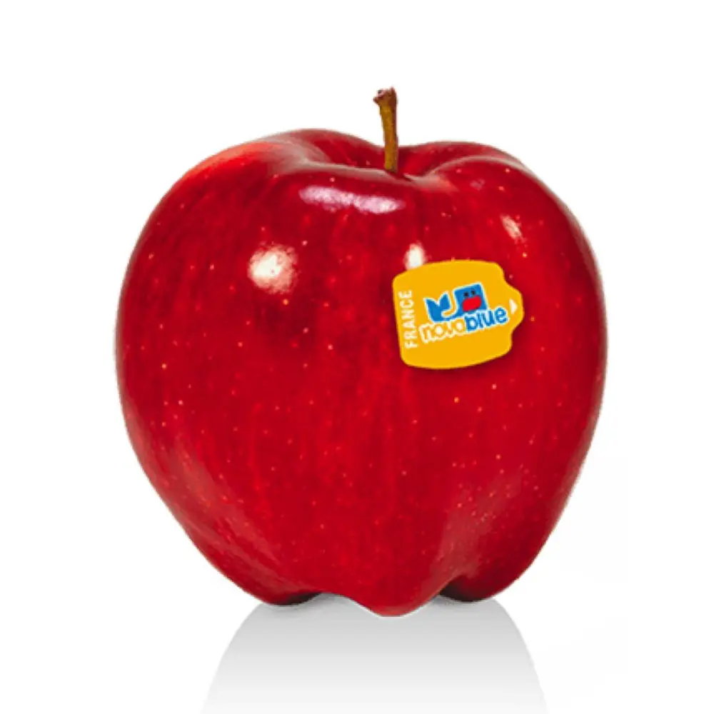 Táo Đỏ Pháp - Nova Blue - Gala - French Red Apple - Size 88 - BLUE WHALE