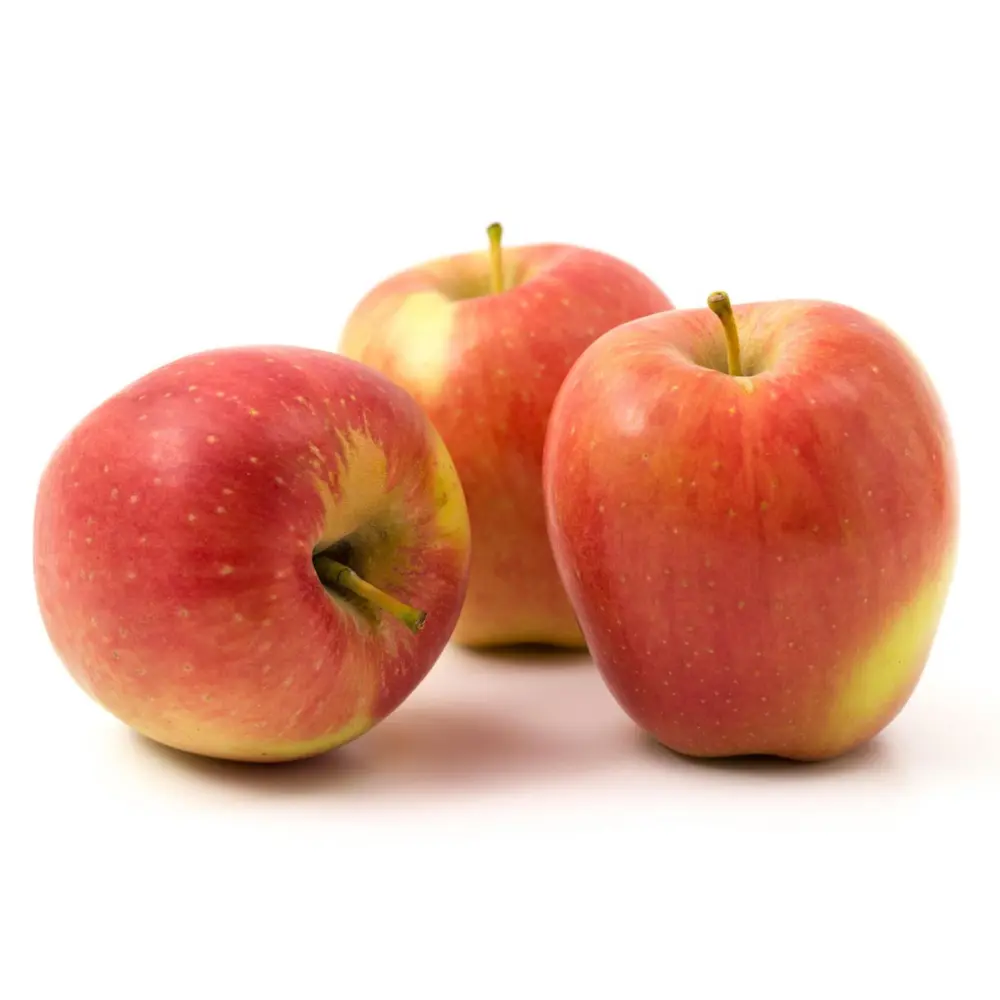 Táo Vàng Canada - Ambrosia - Canadian Yellow Apple - Size 100 - SANDHER FRUIT PACKERS
