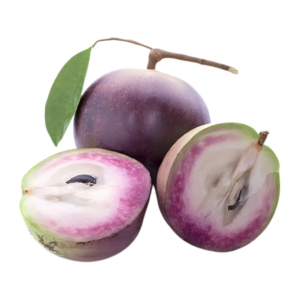 Vú Sữa Tím Bách Thảo - Purple Star Apple - HTX NONG SAN PHAM MINH