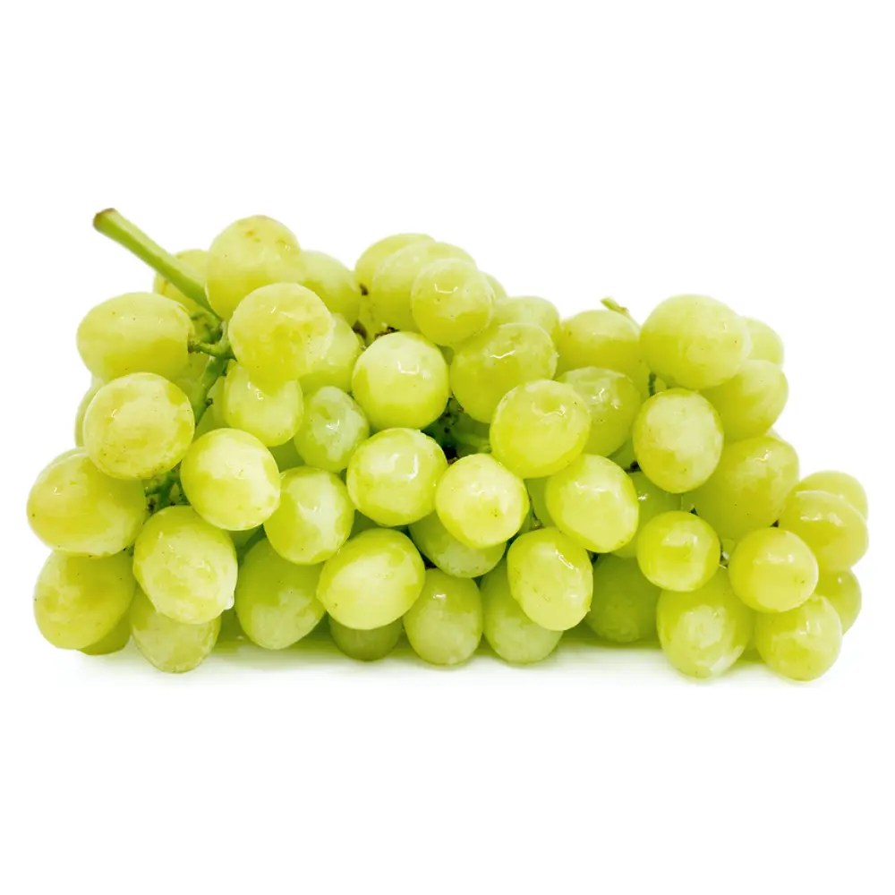 Nho Xanh Không Hạt Mỹ - Ivory - Green Seedless Grapes - TOP BRASS