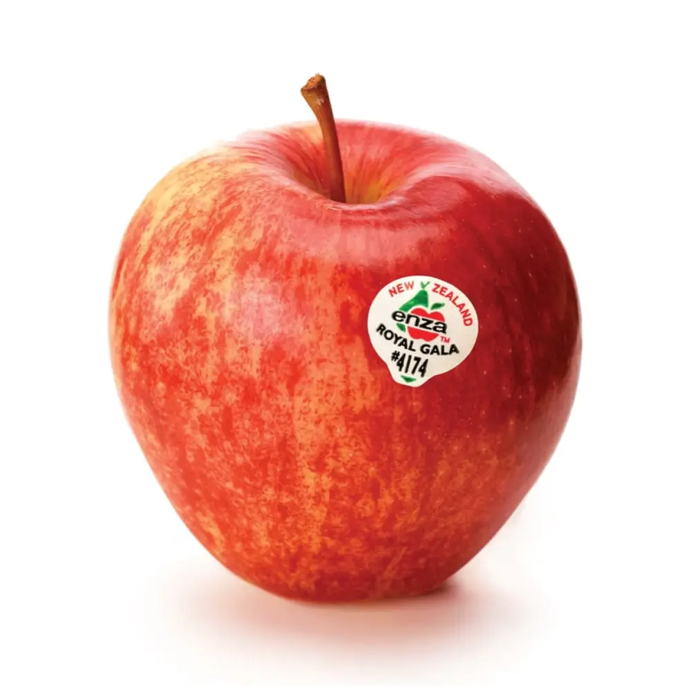 Táo Đỏ New Zealand - Royal Gala - New Zealand Red Apple - Size 90 - FRESHCO