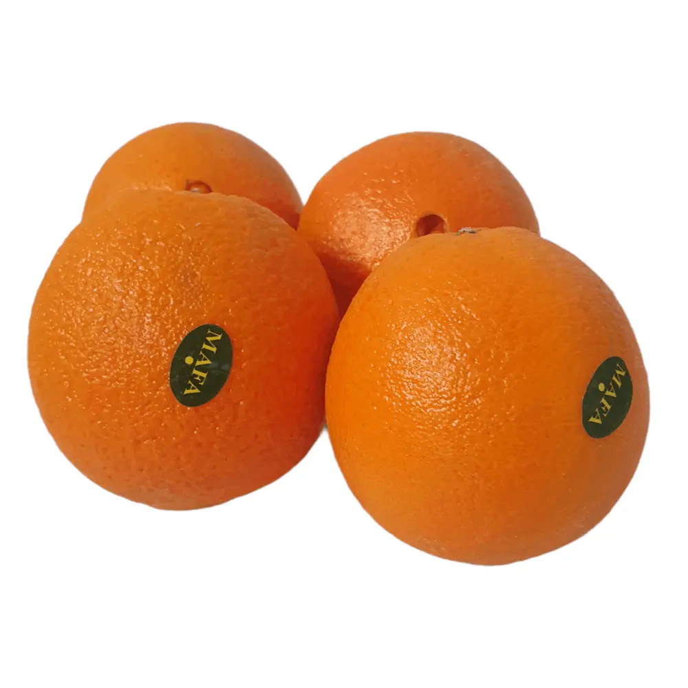 Cam Vàng Ai Cập - Egyptian Navel Orange - MAFA