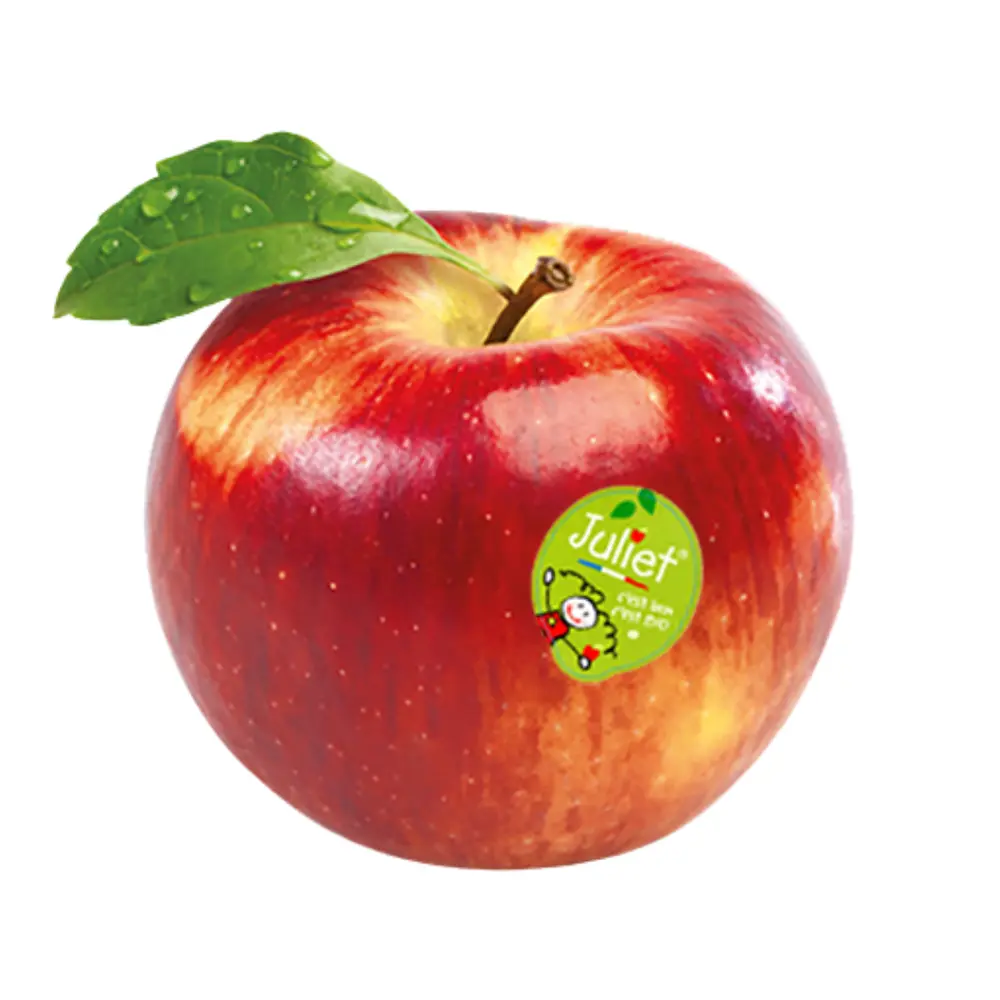 Táo Đỏ Pháp Hữu Cơ - Organic French Red Apple - Size 100 - JULIET