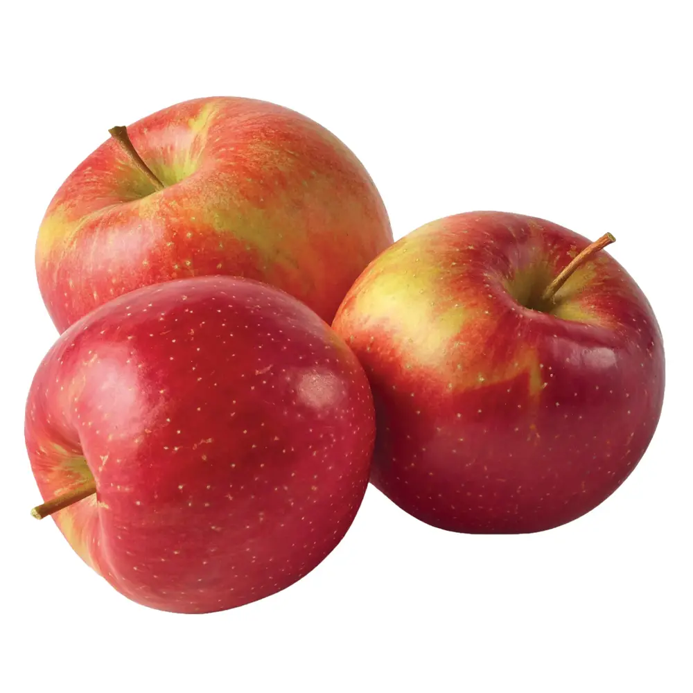Táo Đỏ Mỹ - Gala - US Red Apple - Size 100 - HONEYBEAR