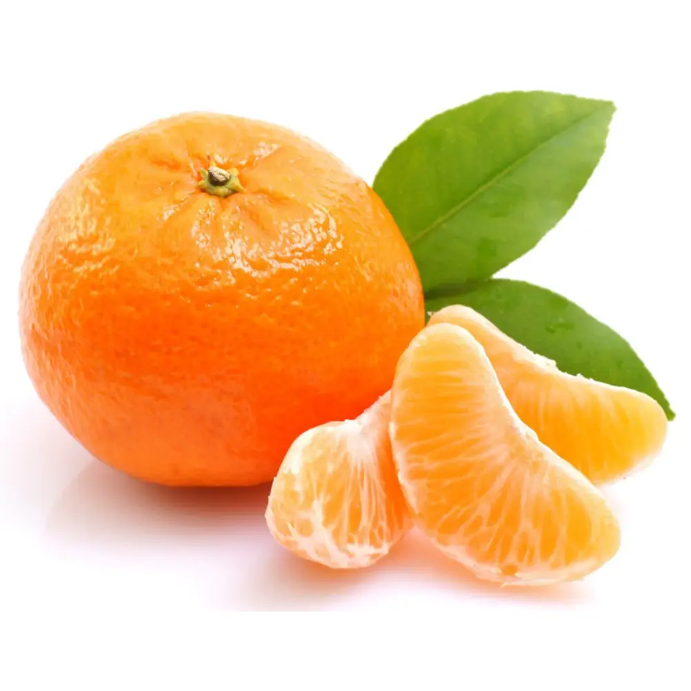 Quýt Mật Úc - Honey Murcott - Premium Australia Citrus - GAYPAK