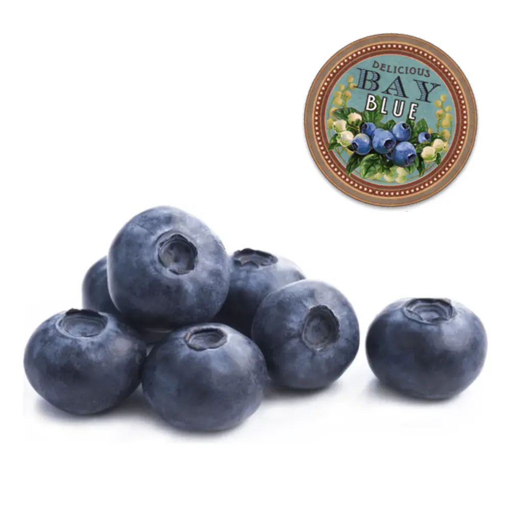 Việt Quất New Zealand - Whole Fresh Blueberries (125g) - BAY BLUEBERRIES