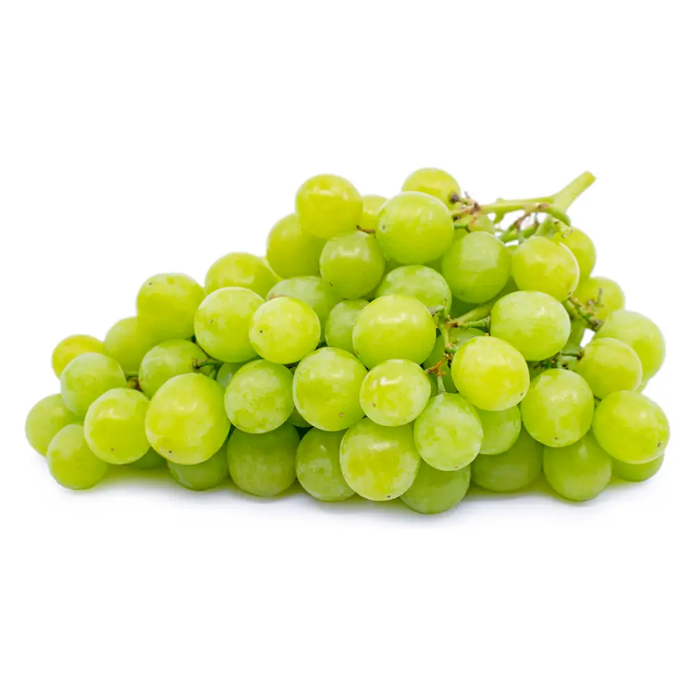 Nho Xanh Không Hạt Úc - Australian Green Seedless Grapes - TREVISO