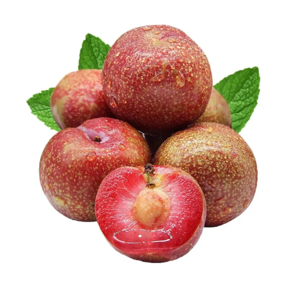 Mận Hậu Bắc Giang - Vietnamese Ruby Plum - NONBRAND