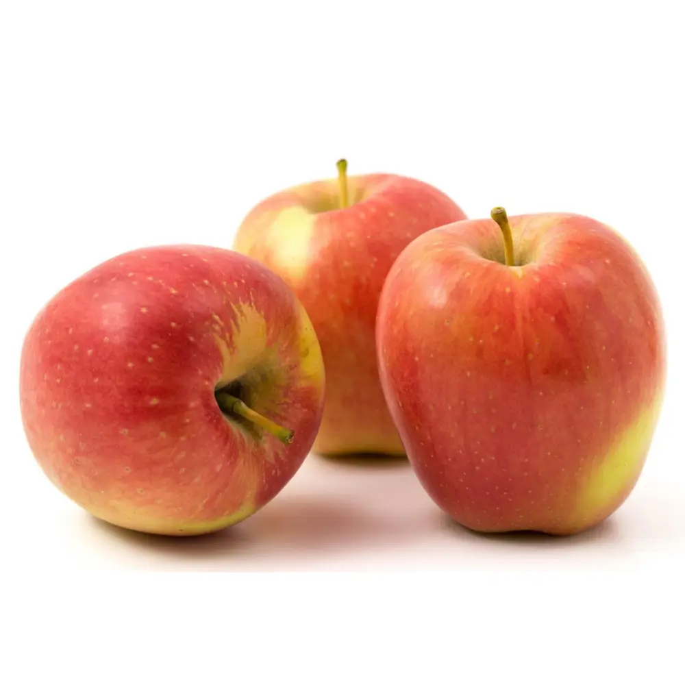 Táo Đỏ New Zealand - Ambrosia - New Zealand Red Apple - Size 150 - LUV'YA
