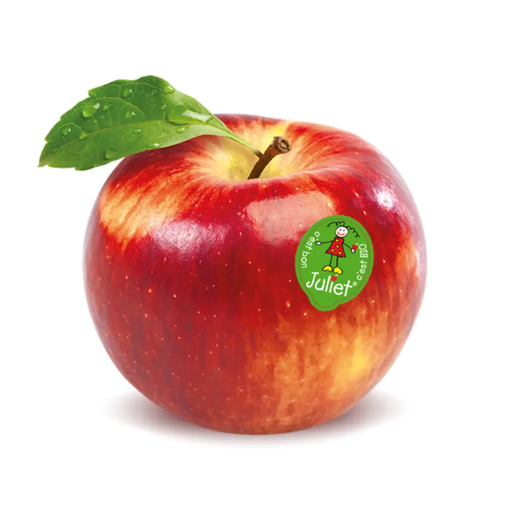 Táo Đỏ Pháp Hữu Cơ - Organic French Red Apple - Size 88 - JULIET