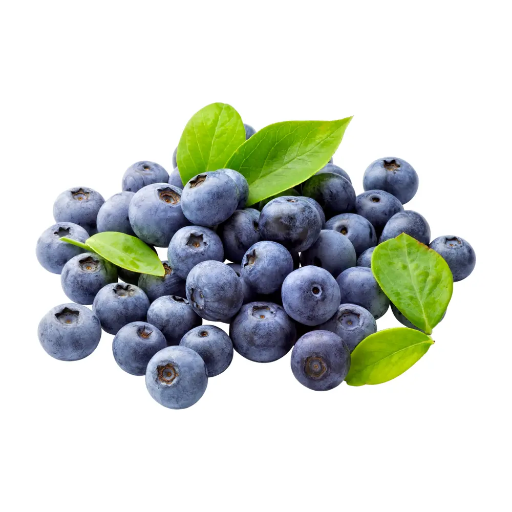 Việt Quất Mỹ - 100% California Blueberries - 4.4 oz (125g) - NATURIPE FARMS