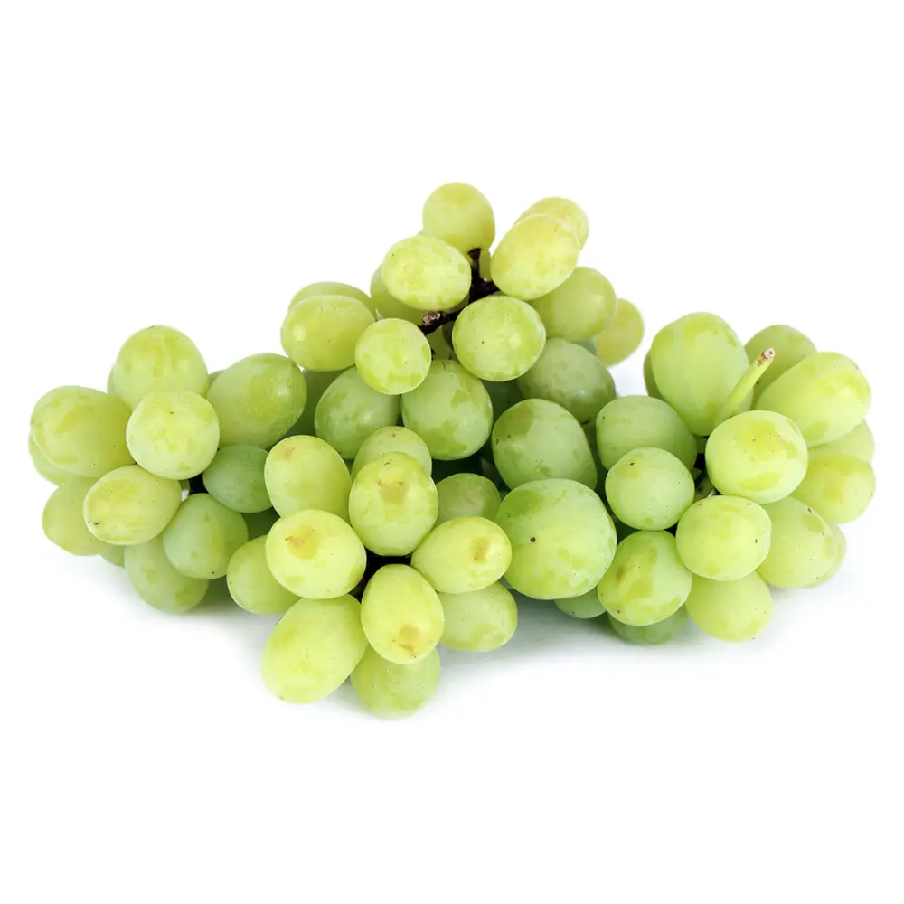 Nho Xanh Không Hạt Mỹ - Autumn King - California Green Seedless Grapes - SUNVIEW