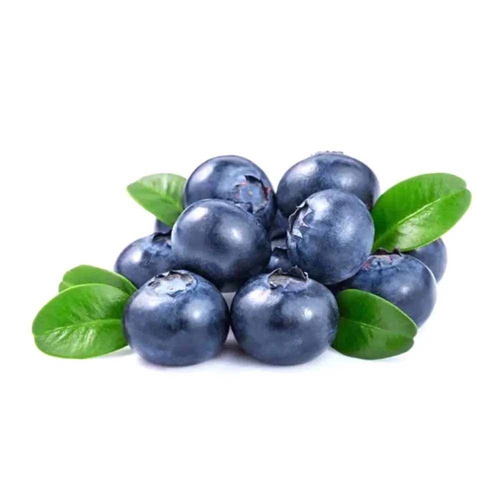 Việt Quất Canada - Fresh Blueberries - 4.4 oz (125g) - BERRY HAVEN FARM