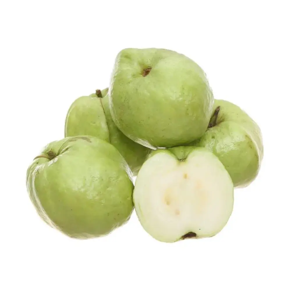 Ổi Nữ Hoàng - Queen Guava - KHAI NGUYEN
