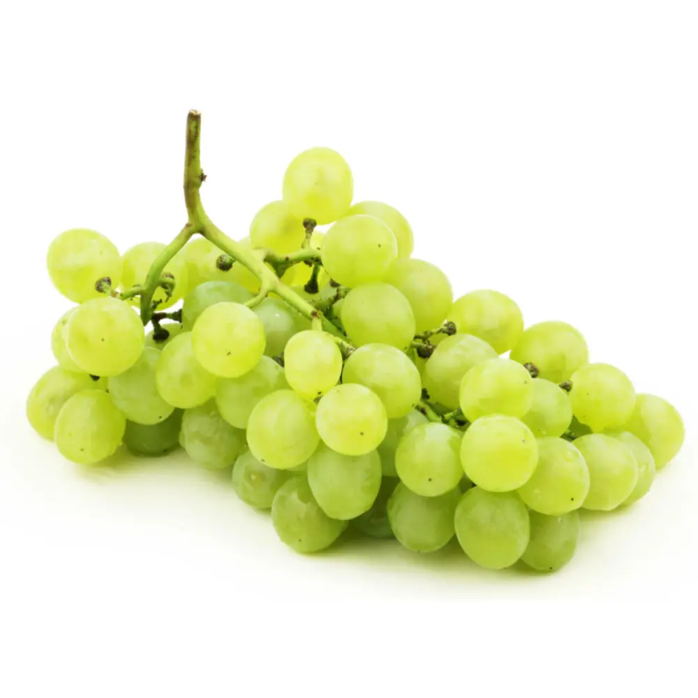 Nho Xanh Không Hạt Peru - AutumnCrisp - Don Luis Green Seedless Table Grapes - IPG