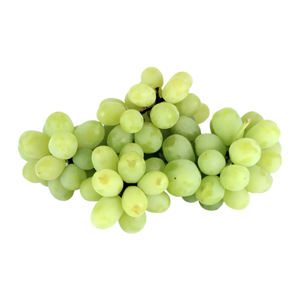 Nho Xanh Không Hạt Mỹ - Premium Sweet Globe - Green Seedless Table Grapes - IPG