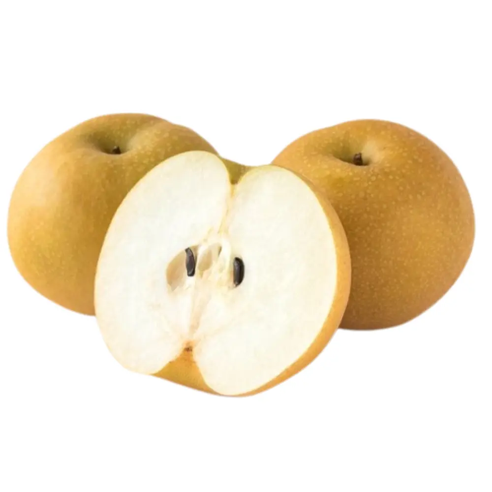 Lê Ibaraki Nhật - Japanese Pear - KOSUI