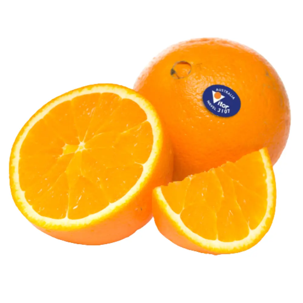 Cam Vàng Úc - Australian Navel Orange - VITOR