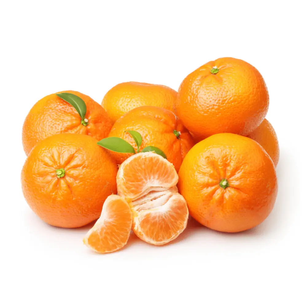 Quýt Úc - Australian Mandarine - TREASURE CITRUS