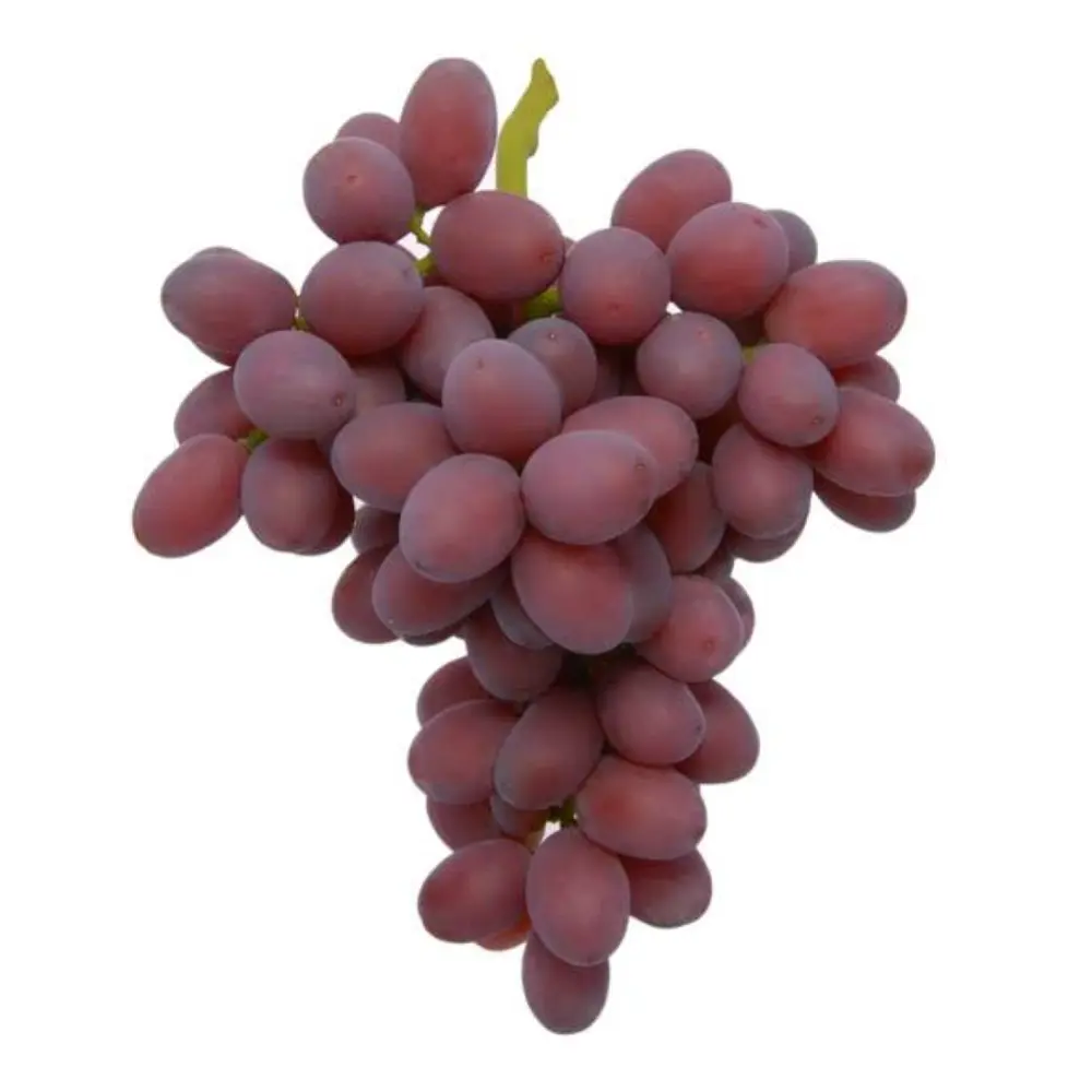 Nho Đỏ Không Hạt Mỹ - Scarlet Royal - Red Seedless Grapes - BRAVANTE VINEYARDS