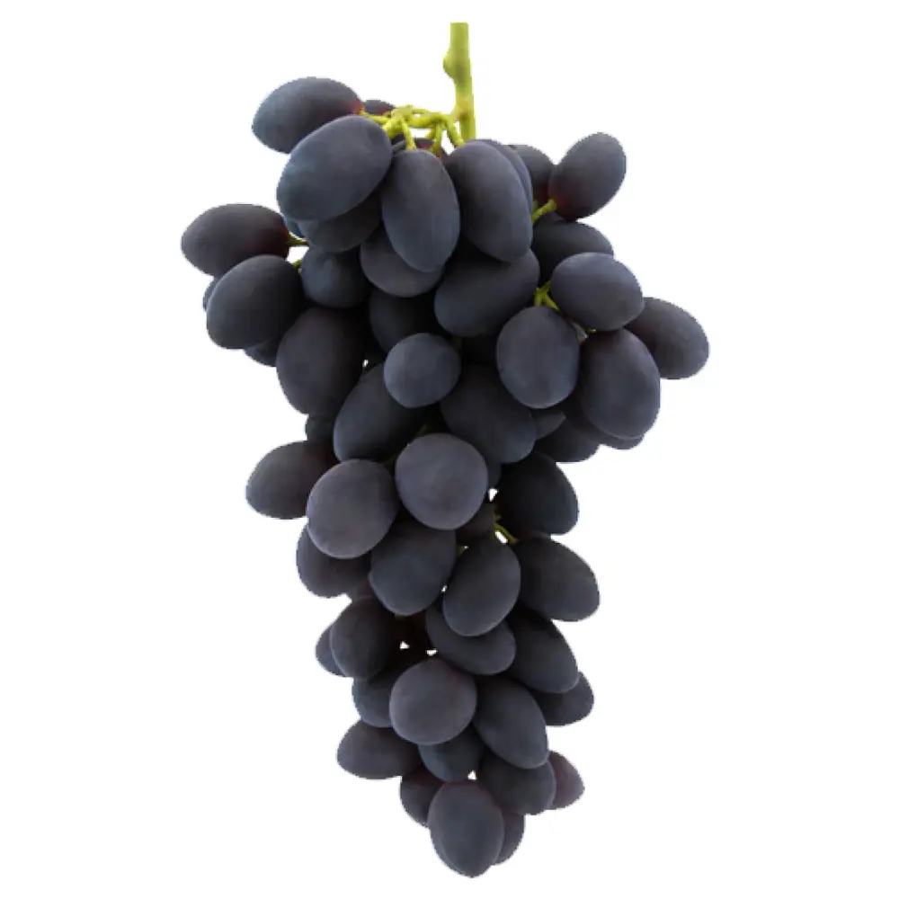 Nho Đen Không Hạt Chile - Sweet Favors - Chilean Black Seedless Grapes - MARIA GABRIELA