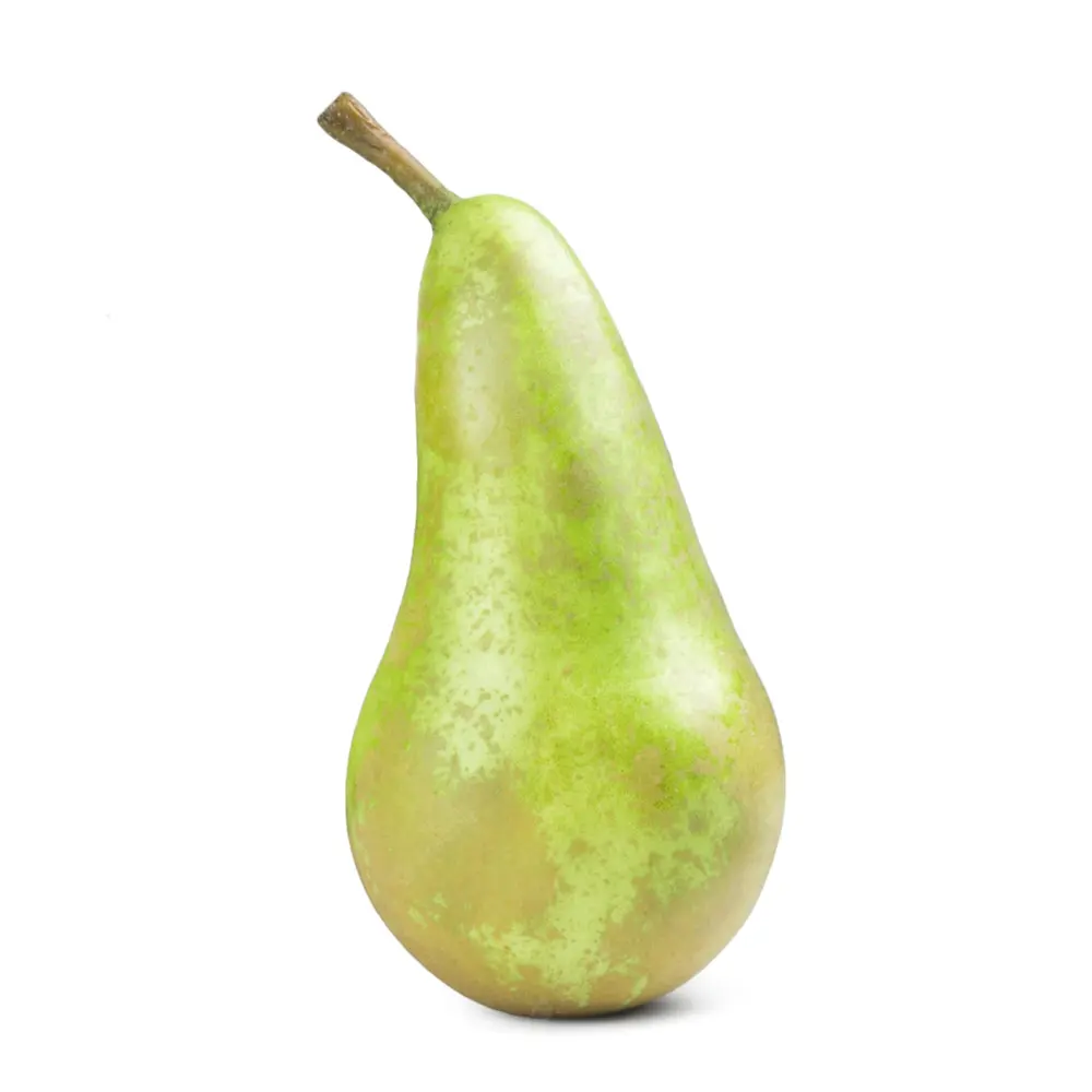 Lê Xanh Bỉ - Belgian Pear - QTEE
