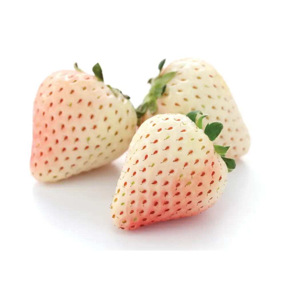 Dâu Trắng Hàn Quốc - Super Premium Korean Pineberry (500g) - K-BERRY