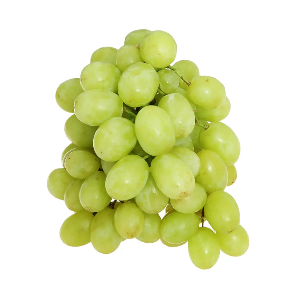 Nho Xanh Không Hạt Peru - AutumnCrisp - Peruvian Green Seedless Table Grapes - ECOSAC