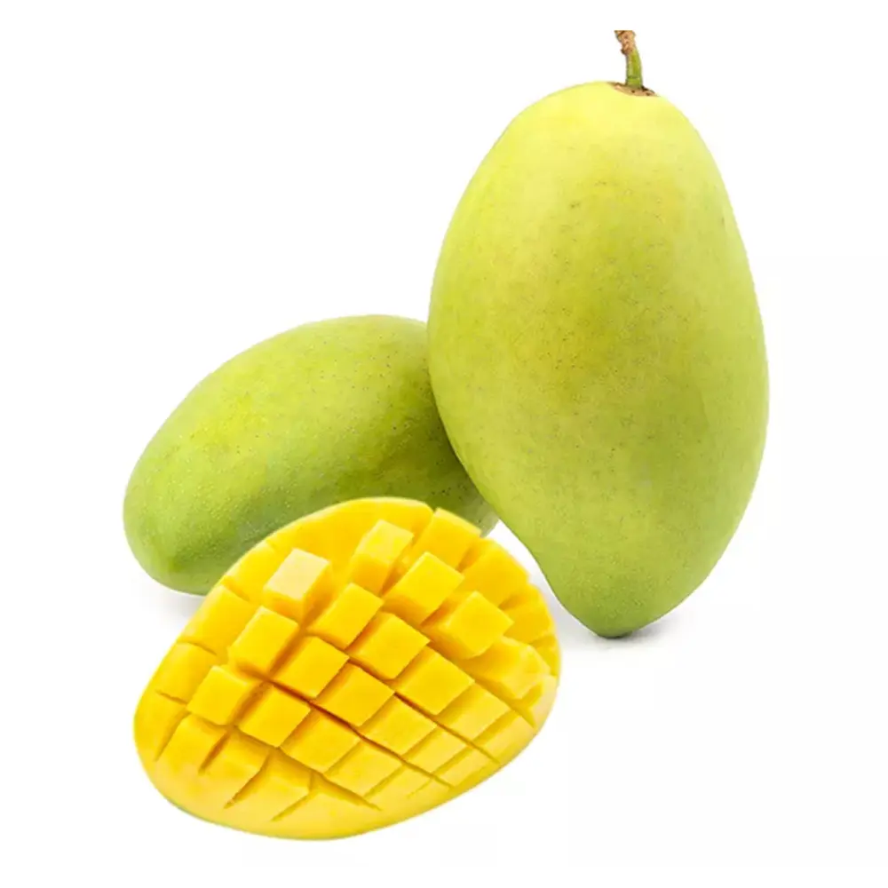 Xoài Cát Hòa Lộc - Hoa Loc Mango - OCOP