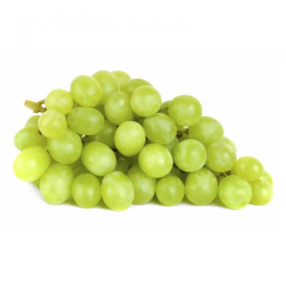 Nho Xanh Không Hạt Nam Phi - AutumnCrisp - South African Green Seedless Grapes - SAVANNAH