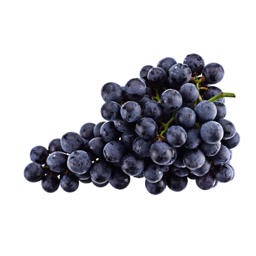 Nho Đen Nam Phi Không Hạt - Black Seedless Grapes - ASV