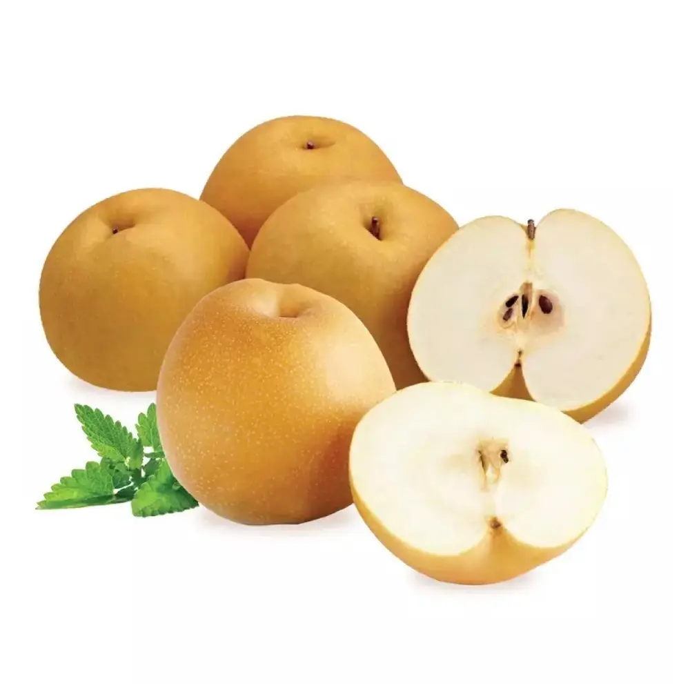 Lê Hàn Quốc - Singo - Gyeong Buk - Korean Pear - K-PEAR