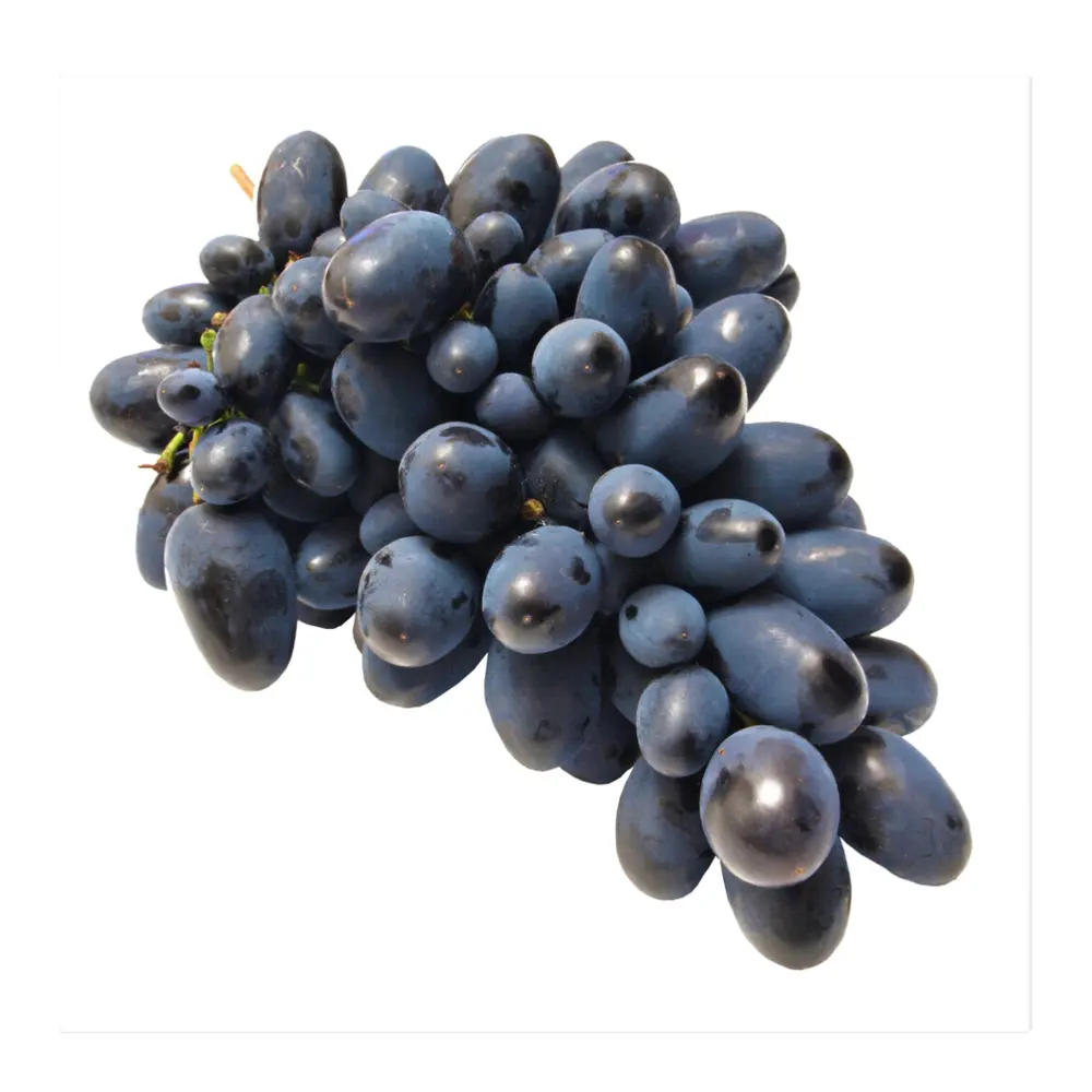 Nho Đen Không Hạt Úc - Hellooo - Adora Black Seedless Grapes - GRAPE CO AUSTRALIA