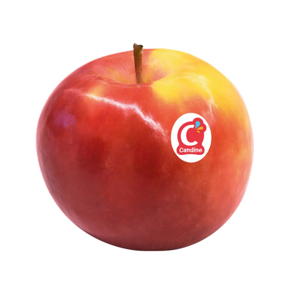 Táo Kẹo Pháp - French Candy Apple - CANDINE