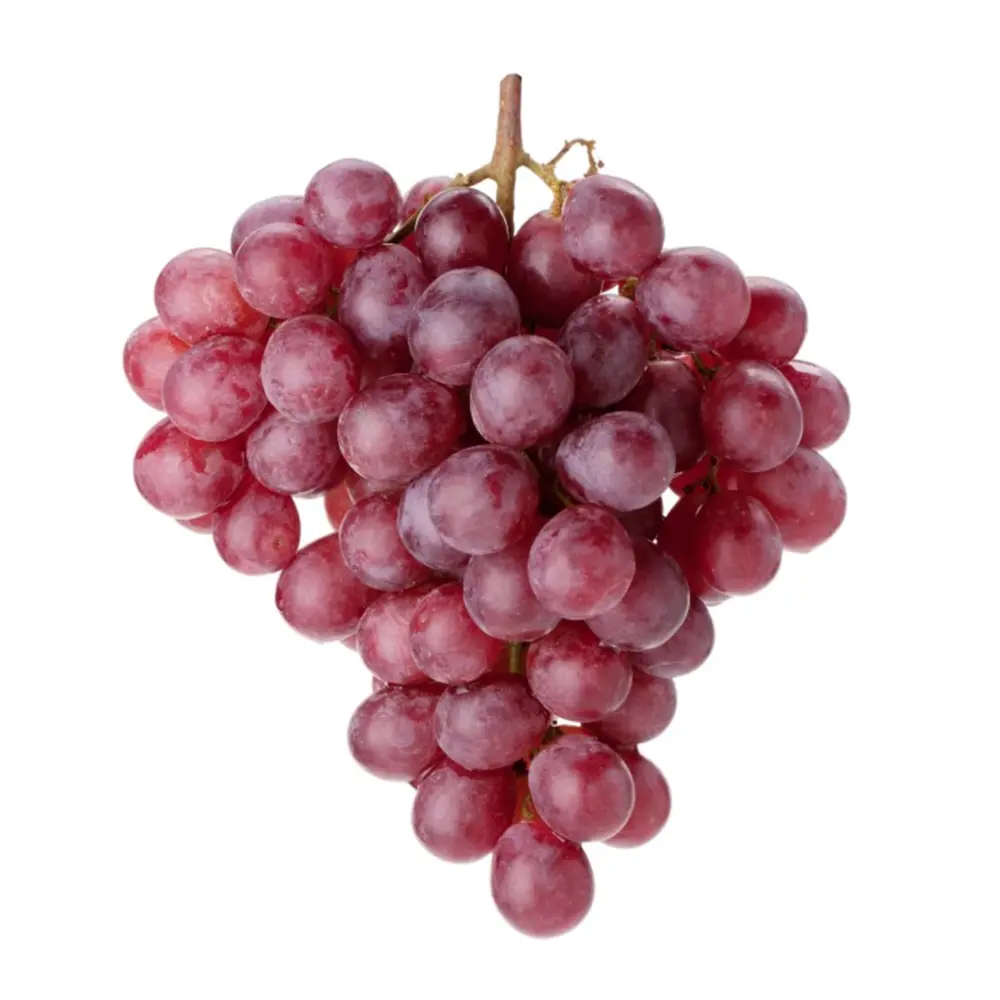 Nho Đỏ Không Hạt Úc - Hellooo - Jack Salute Red Seedless Grapes - GRAPE CO AUSTRALIA