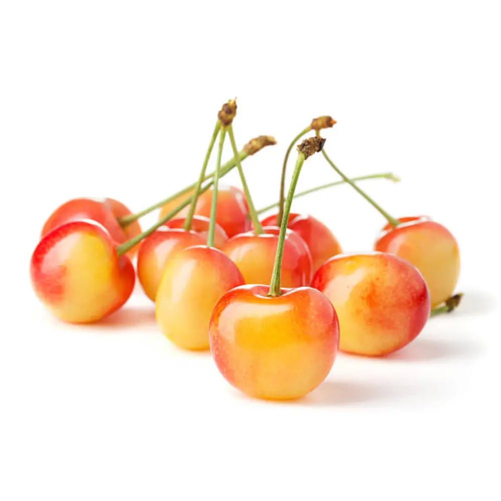 Cherry Vàng Mỹ - Rainier Cherries - Size 9.5 - MORADA