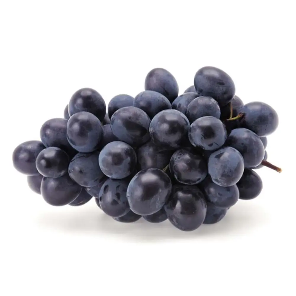 Nho Đen Không Hạt Úc - Adora - Australian Black Seedless Grapes - RJN CUA VINEYARDS