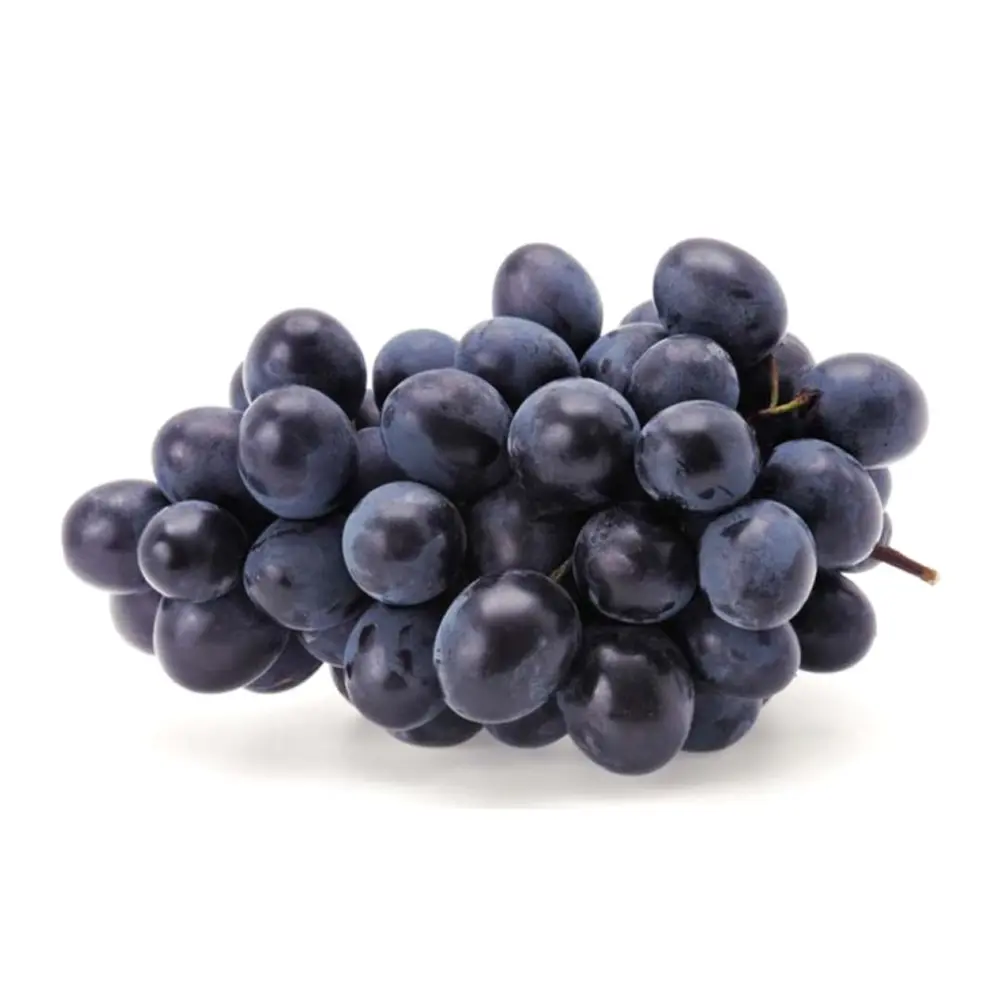 Nho Đen Không Hạt Úc - Premium Adora Seedless - Black Seedless Grapes - VITOR