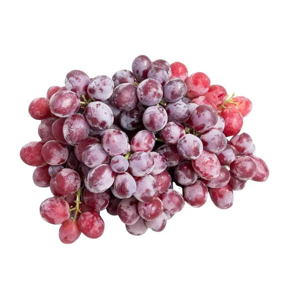 Nho Đỏ Kẹo Mỹ - Candy Snaps - US Red Seedless Grapes (450g) - ANTHONY