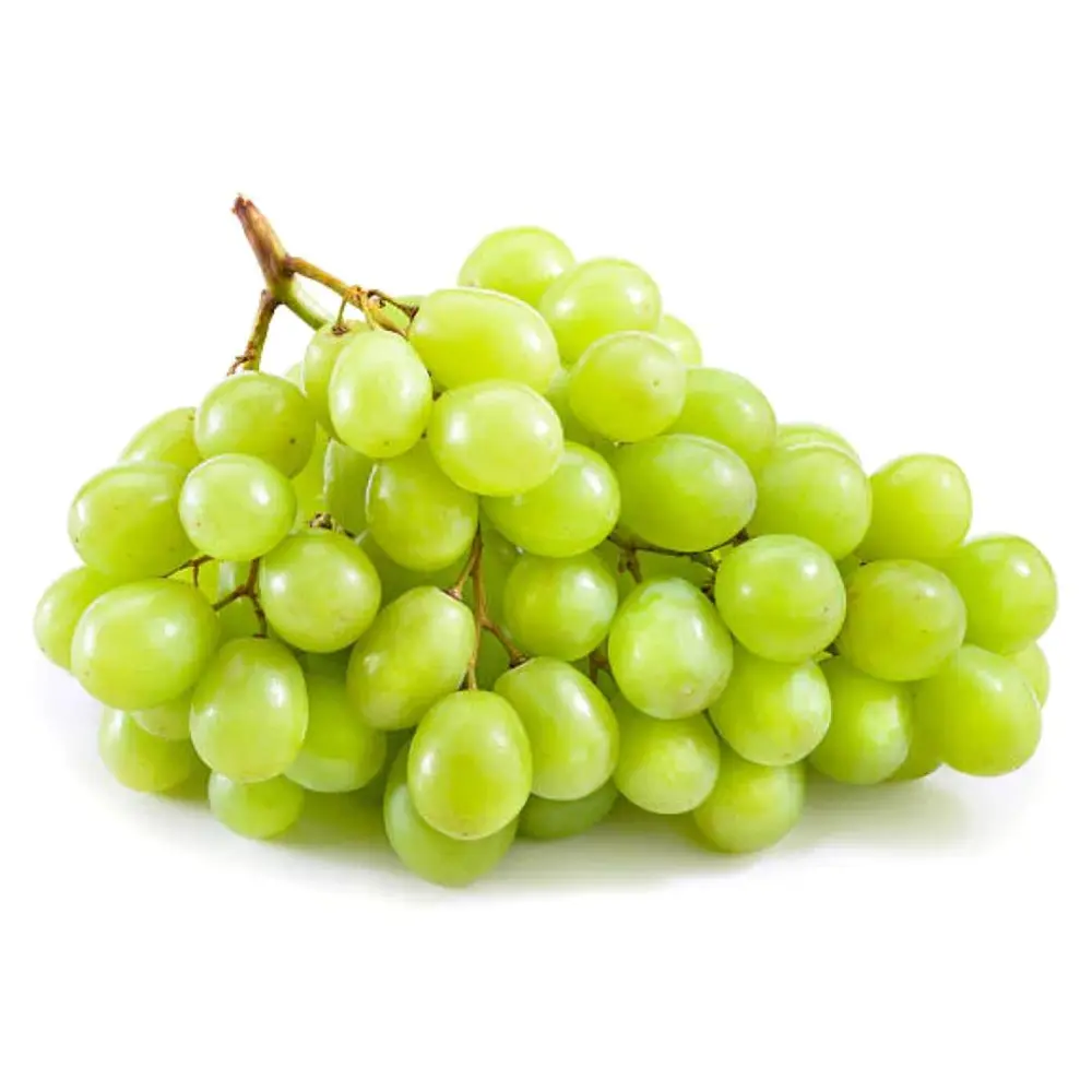 Nho Xanh Không Hạt Mỹ - Sweet Globe - Green Seedless Table Grapes - ILLUME