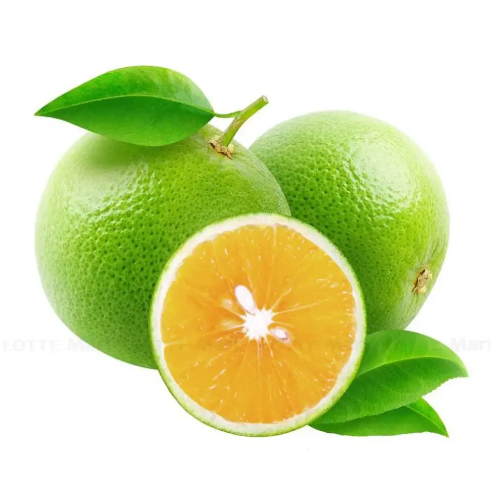 Cam Xoàn - Vietnamese Green Skin Orange - MEKO STAR