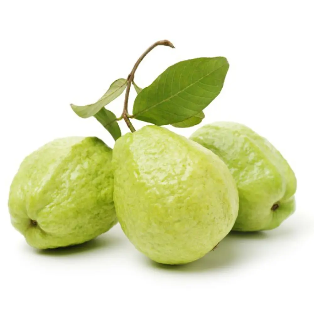 Ổi Giống Đài Loan - Taiwanese Guava - MEKO STAR