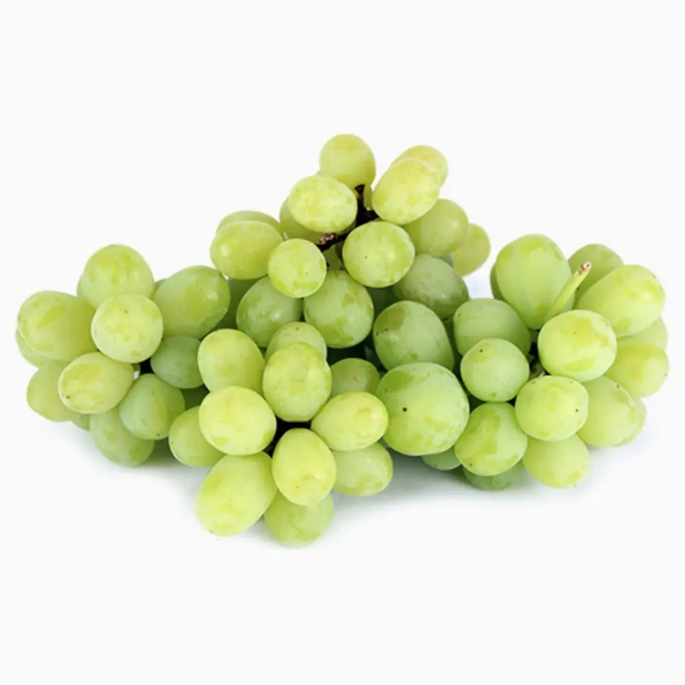 Nho Xanh Không Hạt Nam Phi - Sweet Globe - South African Green Seedless Grapes - THE GRAPE CO